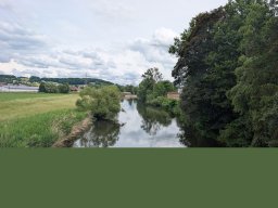 Mainschwimmen Juni 2026